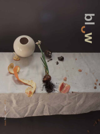 issue 5 // still life