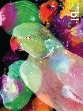 issue 9 // animals
